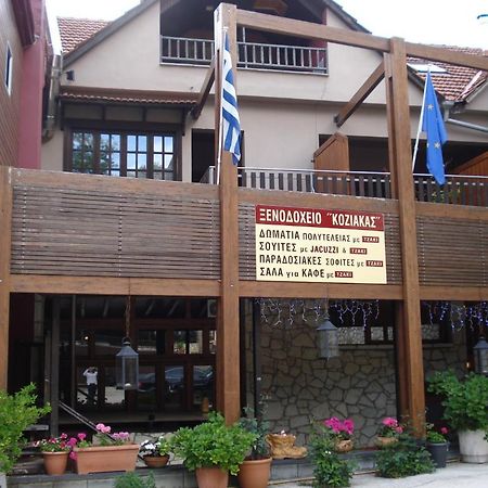 Hotel Koziakas Elati  Exterior photo